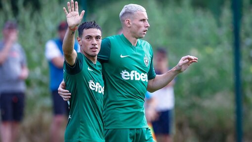 Лудогорец — Олимпия Любляна. Прогноз и ставка на матч Прогноз на матч Лудогорец — Олимпия Любляна