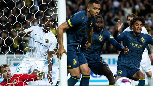 Ворскла — Дила Гори. Прогноз и ставка на матч Прогноз на матч Ворскла — Дила Гори