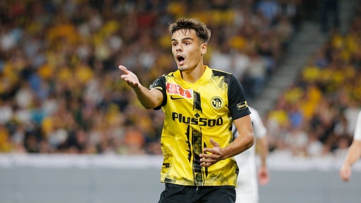 Янг Бойз — Маккаби Хф. Прогноз и ставка на матч Прогноз на матч Янг Бойз — Маккаби Хф