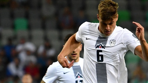 Словения — Финляндия. Прогноз и ставка на матч Прогноз на матч Словения — Финляндия