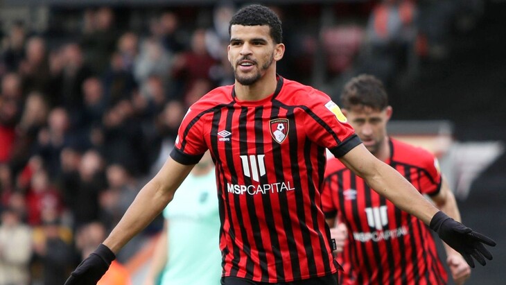 Доминик Соланке