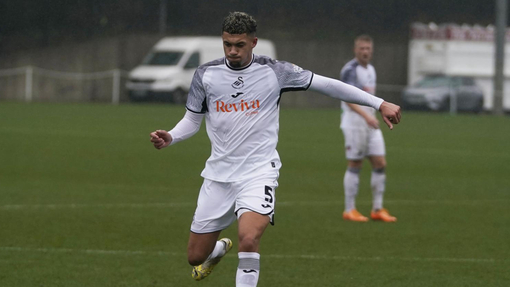 Суонси — Престон Норт Энд. Прогноз и ставка на матч Прогноз на матч Суонси — Престон Норт Энд