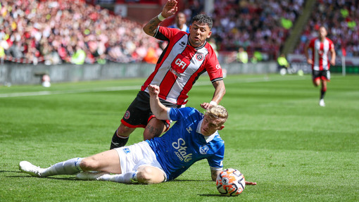 Эвертон — Кристал Пэлас. Прогноз и ставка на матч Прогноз на матч Эвертон — Кристал Пэлас