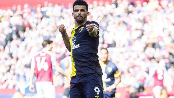 Доминик Соланке