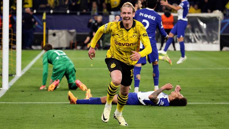 Юлиан Брандт — главный креативщик шмелей