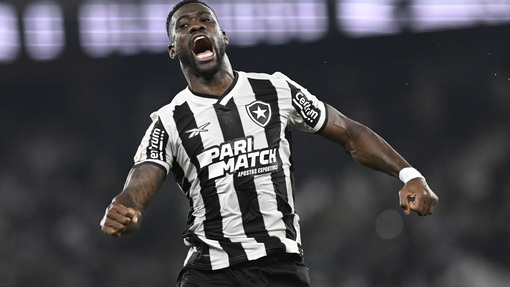 Крикума — Ботафого. Прогноз и ставка на матч Прогноз на матч Крикума — Ботафого