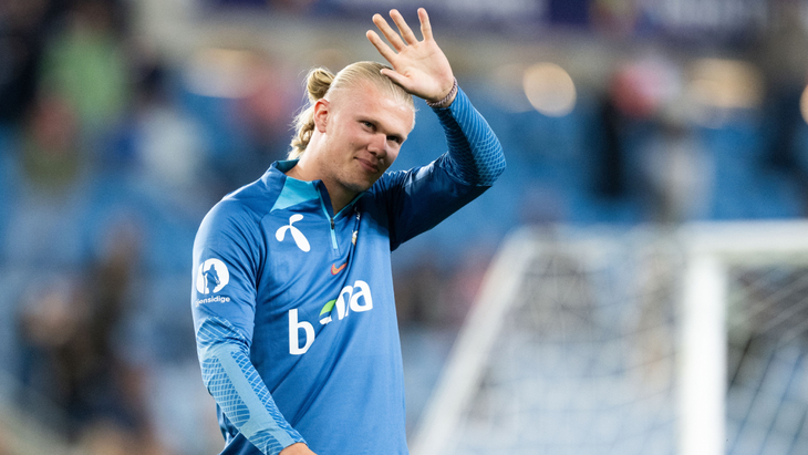 Эрлинг Холанн