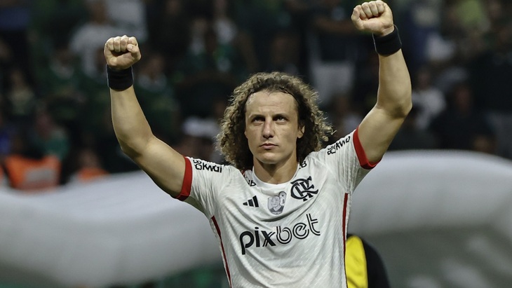 Давид Луис («Фламенго»)