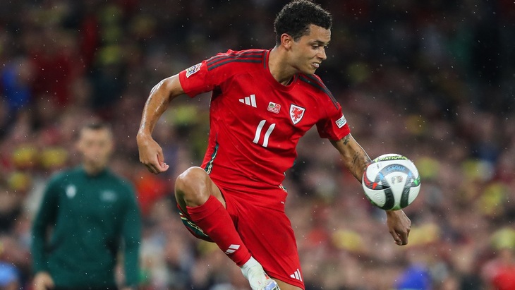 Бренннан Джонсон (Уэльс)