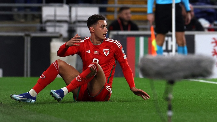 Бреннан Джонсон (Уэльс)