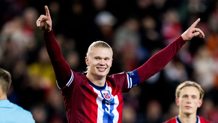 Эрлинг Холанн (сборная Норвегии)