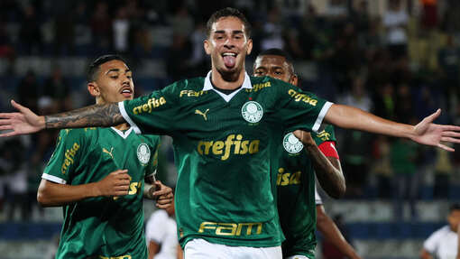 Крузейро — Палмейрас. Прогноз и ставка на матч Прогноз на матч Крузейро — Палмейрас