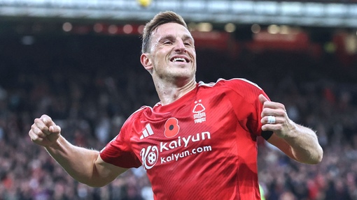 Ноттингем Форест — Саутгемптон. Прогноз и ставка на матч Прогноз на матч Ноттингем Форест — Саутгемптон