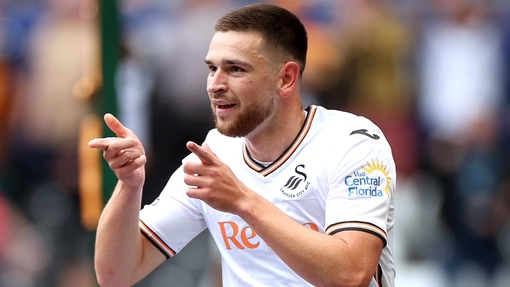 Суонси — Шеффилд Уэнсдей. Прогноз и ставка на матч Прогноз на матч Суонси — Шеффилд Уэнсдей