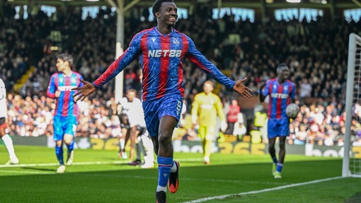 Кристал Пэлас — Брайтон энд Хоув Альбион. Прогноз и ставка на матч Прогноз на матч Кристал Пэлас — Брайтон энд Хоув Альбион