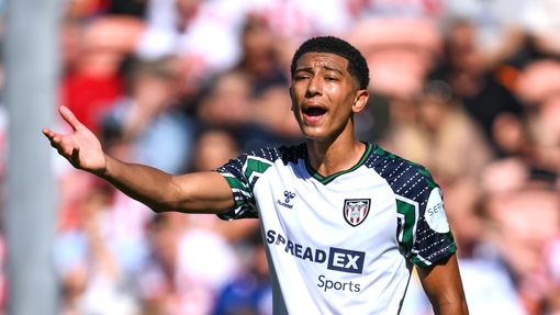 Норвич Сити — Сандерленд. Прогноз и ставка на матч Прогноз на матч Норвич Сити — Сандерленд