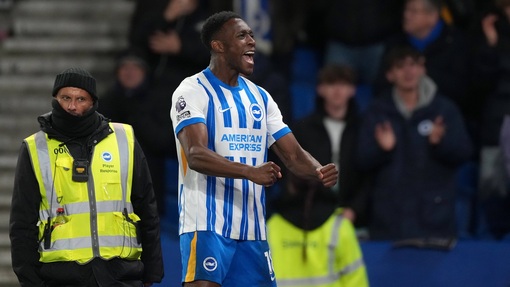 Брайтон энд Хоув Альбион — Лестер. Прогноз и ставка на матч Прогноз на матч Брайтон энд Хоув Альбион — Лестер