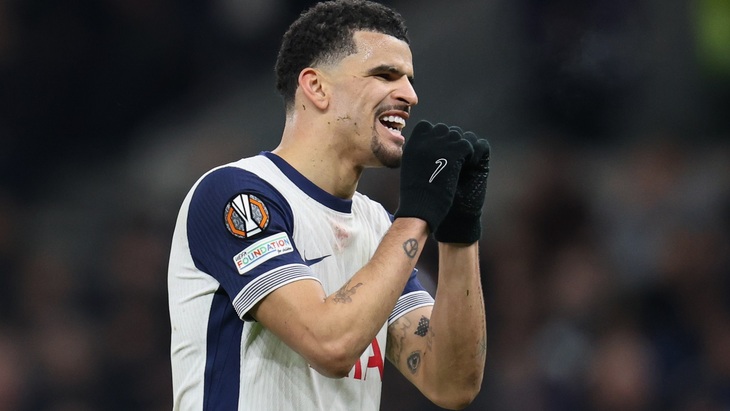 Доминик Соланке