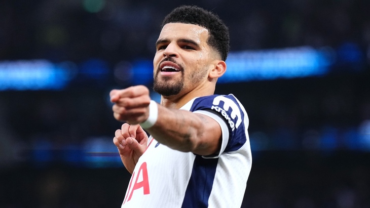 Доминик Соланке