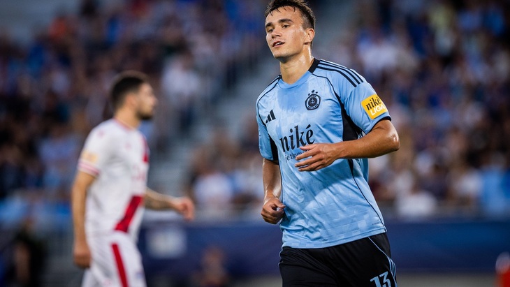 Давид Стрелец