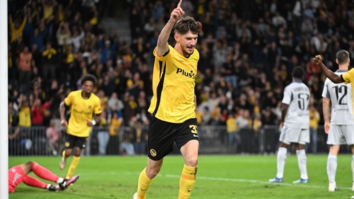 Янг Бойз — Панатинаикос. Прогноз и ставка на матч Прогноз на матч Янг Бойз — Панатинаикос