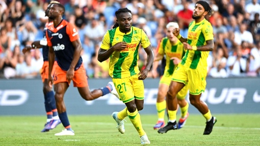 Тулуза — Нант. Прогноз и ставка на матч Прогноз на матч Тулуза — Нант