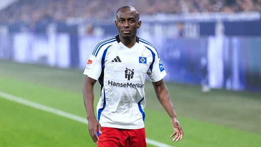 Прогноз на матч Гамбург — Майнц