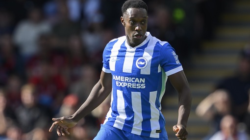 Прогноз на матч Вулверхэмптон — Брайтон энд Хоув Альбион