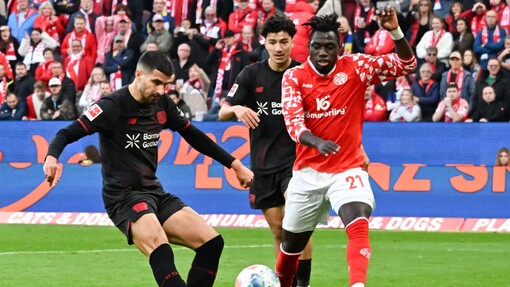 Майнц — Зриньски. Прогноз и ставка на матч Прогноз на матч Майнц — Зриньски