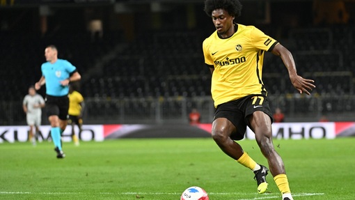 Янг Бойз — Лудогорец. Прогноз и ставка на матч Прогноз на матч Янг Бойз — Лудогорец