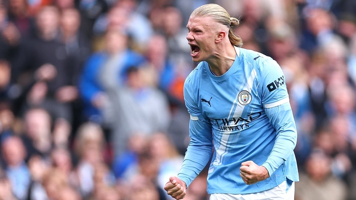 Эрлинг Холанн