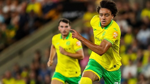 Прогноз на матч Норвич Сити — Чарльтон Атлетик