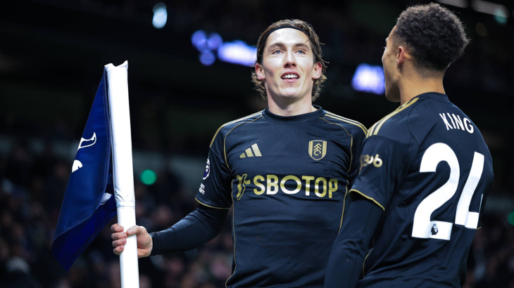 Харри Уилсон («Фулхэм»)