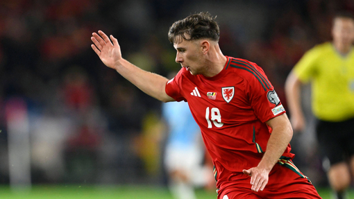 Прогноз на матч Уэльс — Босния и Герцеговина