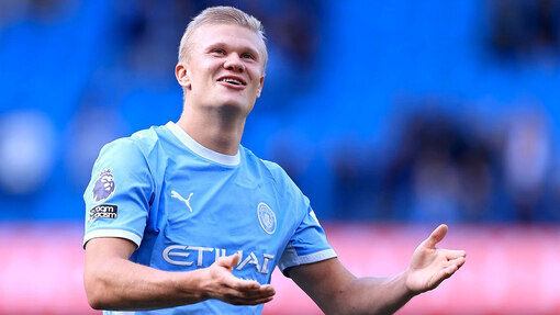 Эрлинг Холанн
