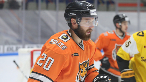 Прогноз на матч Витязь — Амур