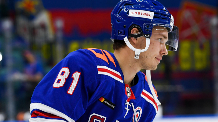 Владислав Каменев