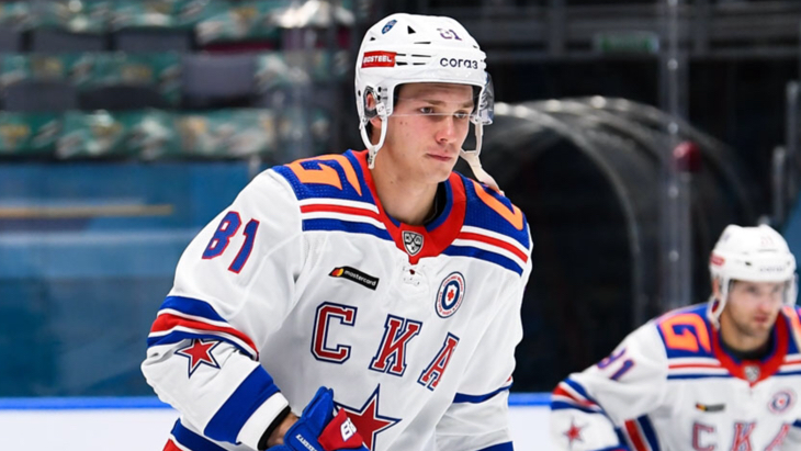 Владислав Каменев