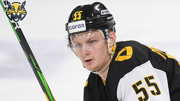 Владислав Провольнев