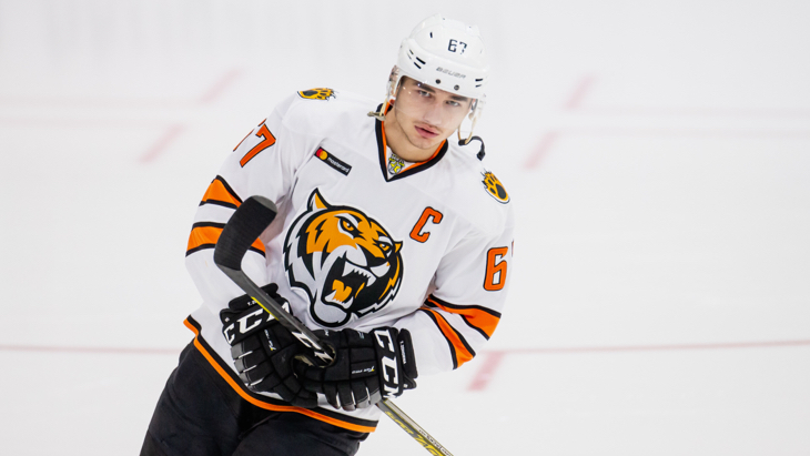 «Динамо» — «Амур»