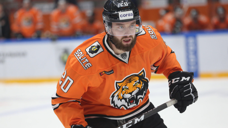 Гинек Зогорна