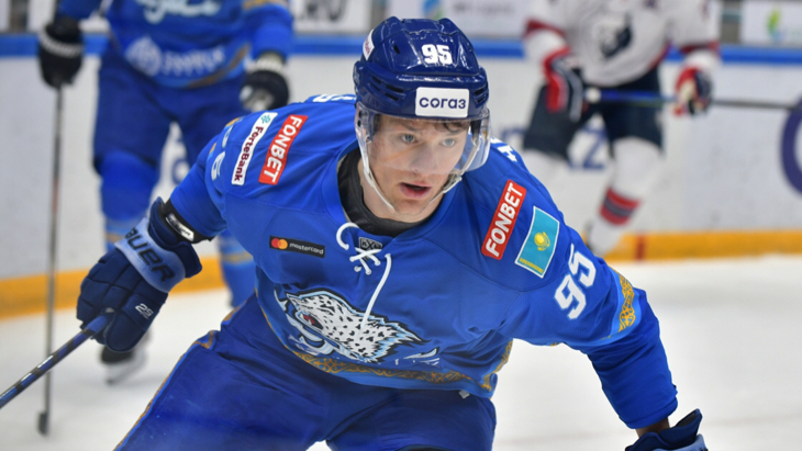 Дмитрий Шевченко