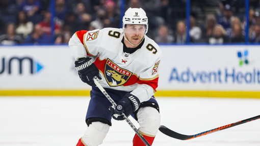 Флорида — Миннесота. Прогноз и ставка на матч Прогноз на матч Флорида — Миннесота