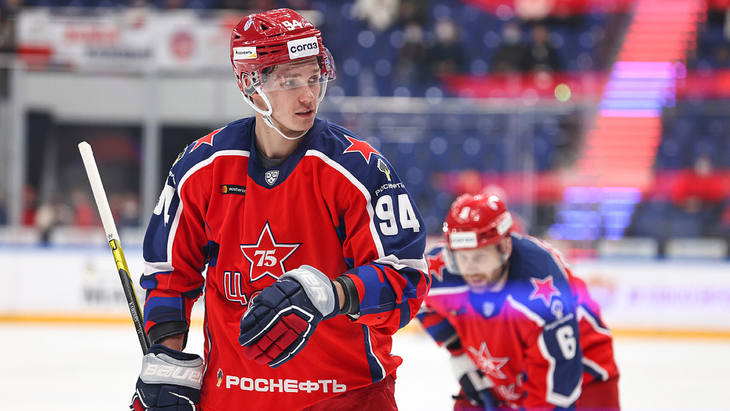 Владислав Каменев