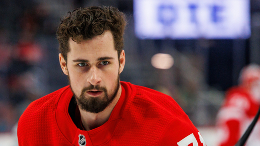 Прогноз на матч Анахайм — Детройт