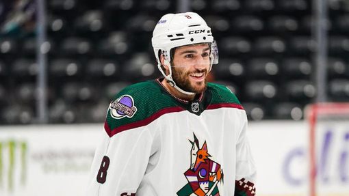 Прогноз на матч Аризона — Торонто