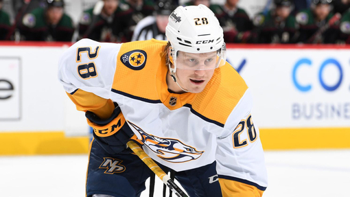 Нэшвилл — Баффало. Прогноз и ставка на матч Прогноз на матч Нэшвилл — Баффало