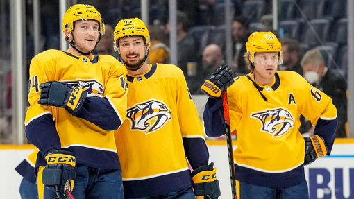 Эдмонтон — Нэшвилл. Прогноз и ставка на матч Прогноз на матч Эдмонтон — Нэшвилл