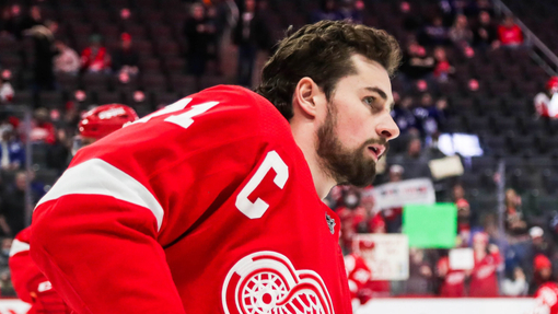 Детройт — Анахайм. Прогноз и ставка на матч Прогноз на матч Детройт — Анахайм