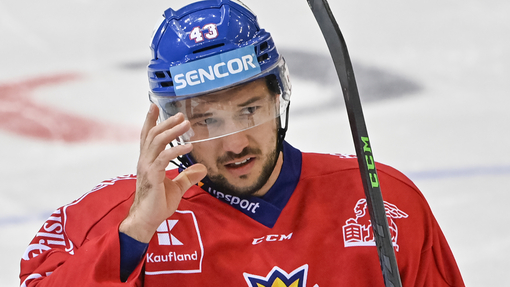 Чехия — Швейцария. Прогноз и ставка на матч Прогноз на матч Чехия — Швейцария